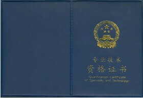 專(zhuān)業(yè)技術(shù)職稱(chēng)辦理